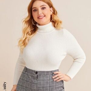 SHEIN Turtle Neck